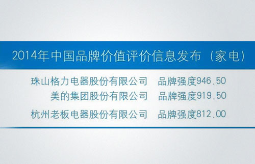 中國品牌價(jià)值評價(jià)信息